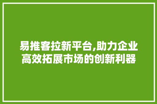 易推客拉新平台,助力企业高效拓展市场的创新利器 易推客拉新平台,助力企业高效拓展市场的创新利器 搜狗SEO