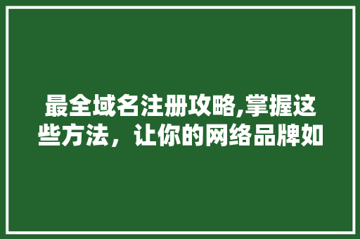 最全域名注册攻略,掌握这些方法，让你的网络品牌如虎添翼