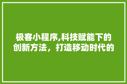 极客小程序,科技赋能下的创新方法，打造移动时代的智慧生活 极客小程序,科技赋能下的创新方法，打造移动时代的智慧生活 必应SEO