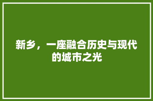新乡，一座融合历史与现代的城市之光 新乡，一座融合历史与现代的城市之光 神马SEO