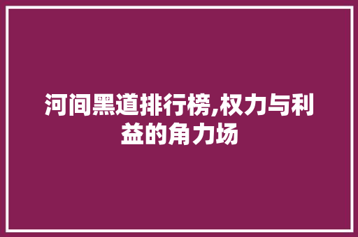 河间黑道排行榜,权力与利益的角力场 河间黑道排行榜,权力与利益的角力场 搜狗SEO
