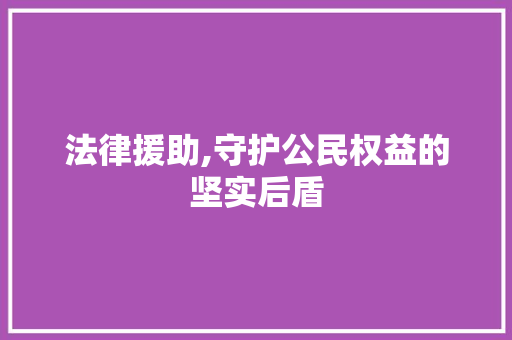 法律援助,守护公民权益的坚实后盾 法律援助,守护公民权益的坚实后盾 必应SEO