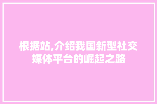 根据站,介绍我国新型社交媒体平台的崛起之路