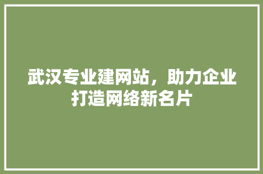 武汉专业建网站，助力企业打造网络新名片