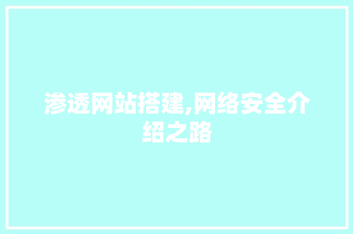 渗透网站搭建,网络安全介绍之路
