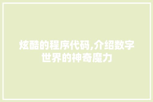 炫酷的程序代码,介绍数字世界的神奇魔力