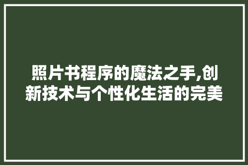 照片书程序的魔法之手,创新技术与个性化生活的完美融合 照片书程序的魔法之手,创新技术与个性化生活的完美融合 GoogleSEO