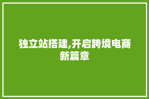 独立站搭建,开启跨境电商新篇章 独立站搭建,开启跨境电商新篇章 GoogleSEO