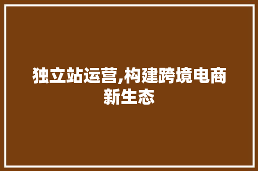 独立站运营,构建跨境电商新生态 独立站运营,构建跨境电商新生态 神马SEO