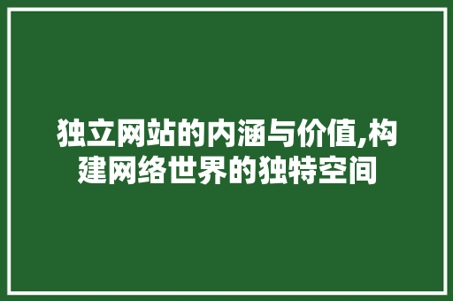 独立网站的内涵与价值,构建网络世界的独特空间 独立网站的内涵与价值,构建网络世界的独特空间 GoogleSEO