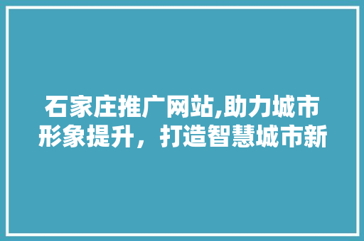 石家庄推广网站,助力城市形象提升，打造智慧城市新标杆 石家庄推广网站,助力城市形象提升，打造智慧城市新标杆 必应SEO