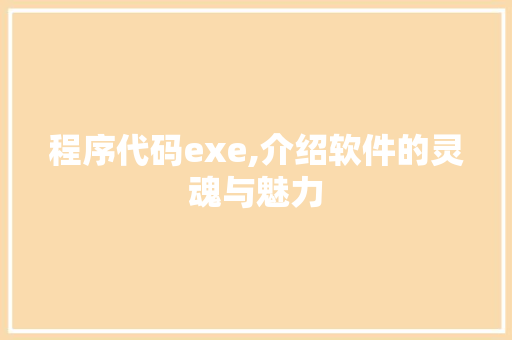 程序代码exe,介绍软件的灵魂与魅力 程序代码exe,介绍软件的灵魂与魅力 GoogleSEO