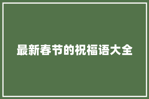 线条之美,探索网站设计中的线条艺术 线条之美,探索网站设计中的线条艺术 搜狗SEO