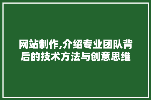 网站制作,介绍专业团队背后的技术方法与创意思维 网站制作,介绍专业团队背后的技术方法与创意思维 百度SEO
