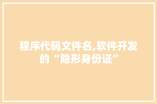程序代码文件名,软件开发的“隐形身份证”
