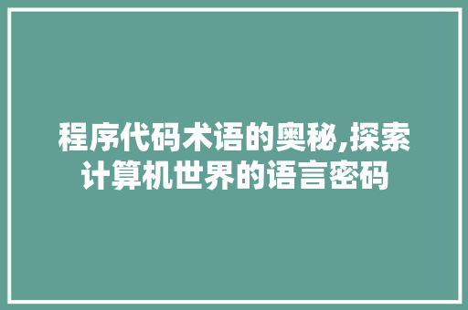 程序代码术语的奥秘,探索计算机世界的语言密码 程序代码术语的奥秘,探索计算机世界的语言密码 GoogleSEO