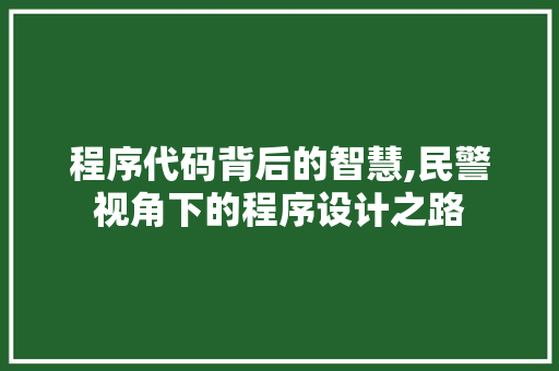 程序代码背后的智慧,民警视角下的程序设计之路 程序代码背后的智慧,民警视角下的程序设计之路 必应SEO