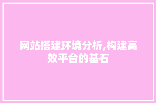 网站搭建环境分析,构建高效平台的基石 网站搭建环境分析,构建高效平台的基石 必应SEO