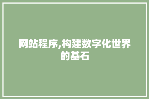 网站程序,构建数字化世界的基石 网站程序,构建数字化世界的基石 必应SEO