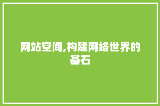 网站空间,构建网络世界的基石 网站空间,构建网络世界的基石 百度SEO