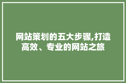 网站策划的五大步骤,打造高效、专业的网站之旅 网站策划的五大步骤,打造高效、专业的网站之旅 GoogleSEO