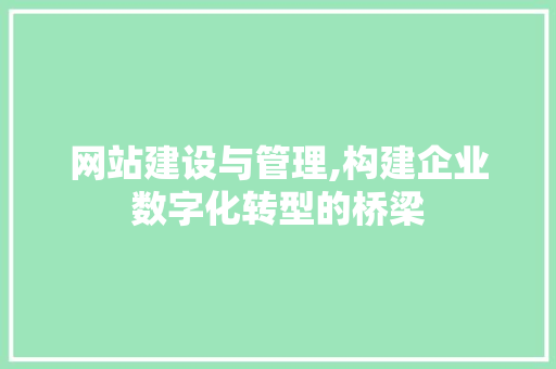 网站建设与管理,构建企业数字化转型的桥梁