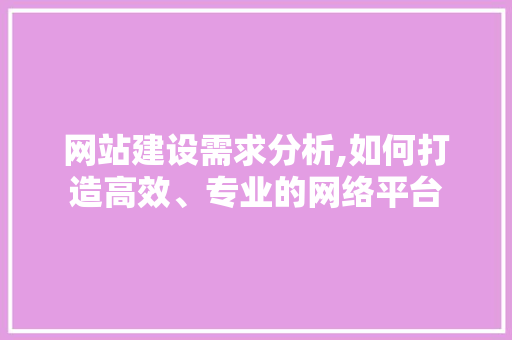 网站建设需求分析,如何打造高效、专业的网络平台 网站建设需求分析,如何打造高效、专业的网络平台 百度SEO