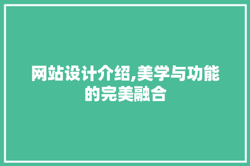 网站设计介绍,美学与功能的完美融合