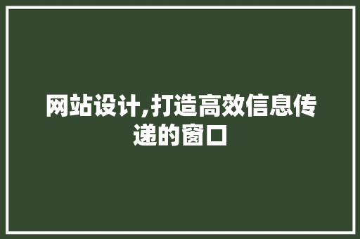 网站设计,打造高效信息传递的窗口