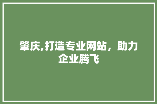 肇庆,打造专业网站，助力企业腾飞