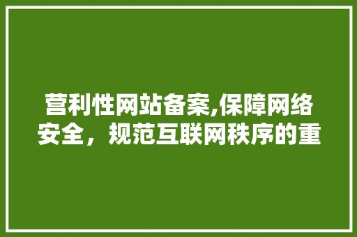 营利性网站备案,保障网络安全，规范互联网秩序的重要举措 营利性网站备案,保障网络安全，规范互联网秩序的重要举措 百度SEO