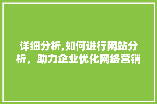 详细分析,如何进行网站分析，助力企业优化网络营销步骤