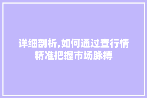 详细剖析,如何通过查行情精准把握市场脉搏 详细剖析,如何通过查行情精准把握市场脉搏 百度SEO