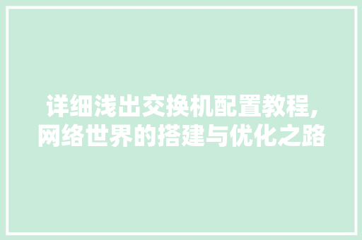 详细浅出交换机配置教程,网络世界的搭建与优化之路