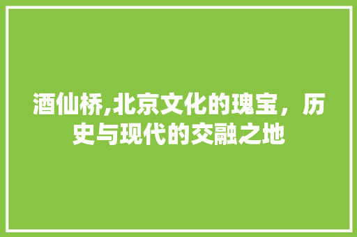 酒仙桥,北京文化的瑰宝，历史与现代的交融之地 酒仙桥,北京文化的瑰宝，历史与现代的交融之地 必应SEO