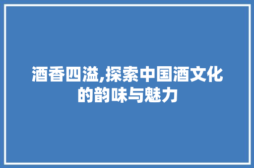 酒香四溢,探索中国酒文化的韵味与魅力 酒香四溢,探索中国酒文化的韵味与魅力 GoogleSEO