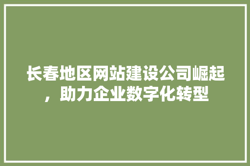 长春地区网站建设公司崛起，助力企业数字化转型