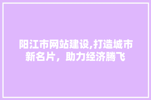阳江市网站建设,打造城市新名片，助力经济腾飞