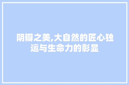 阴瓣之美,大自然的匠心独运与生命力的彰显 阴瓣之美,大自然的匠心独运与生命力的彰显 百度SEO