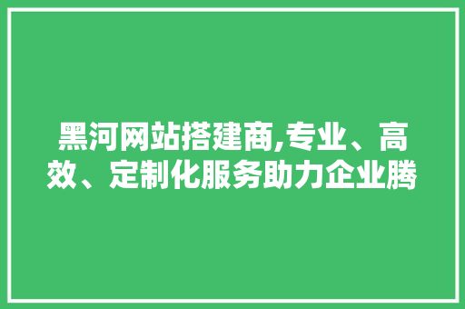 黑河网站搭建商,专业、高效、定制化服务助力企业腾飞