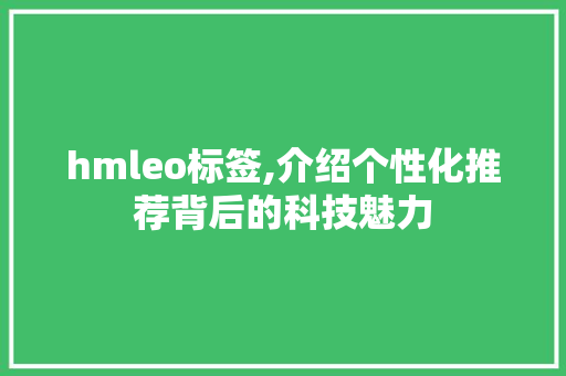 hmleo标签,介绍个性化推荐背后的科技魅力