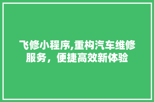 飞修小程序,重构汽车维修服务，便捷高效新体验 飞修小程序,重构汽车维修服务，便捷高效新体验 搜狗SEO