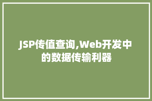 JSP传值查询,Web开发中的数据传输利器