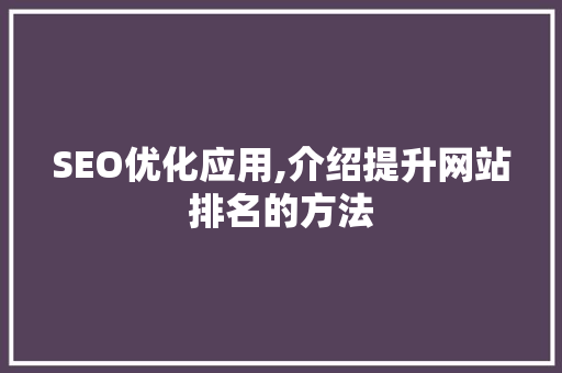 SEO优化应用,介绍提升网站排名的方法