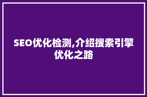 SEO优化检测,介绍搜索引擎优化之路
