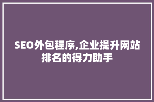 SEO外包程序,企业提升网站排名的得力助手