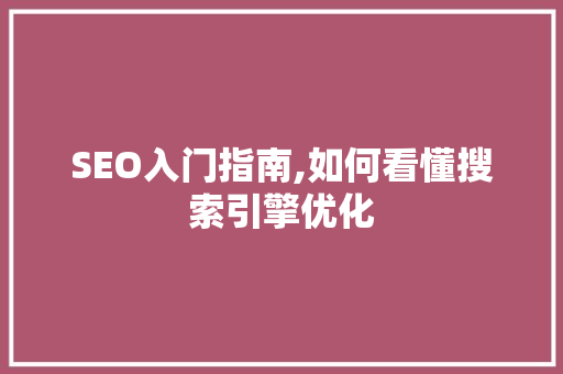 SEO入门指南,如何看懂搜索引擎优化 SEO入门指南,如何看懂搜索引擎优化 百度SEO