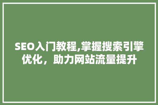 SEO入门教程,掌握搜索引擎优化，助力网站流量提升 SEO入门教程,掌握搜索引擎优化，助力网站流量提升 搜狗SEO