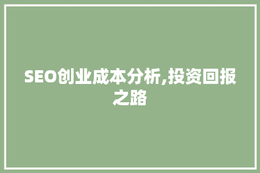 SEO创业成本分析,投资回报之路 SEO创业成本分析,投资回报之路 百度SEO