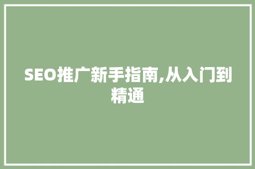 SEO推广新手指南,从入门到精通 SEO推广新手指南,从入门到精通 百度SEO
